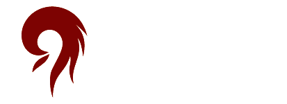 睿思得 Raysdom